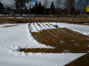 IMG_20170418_153750